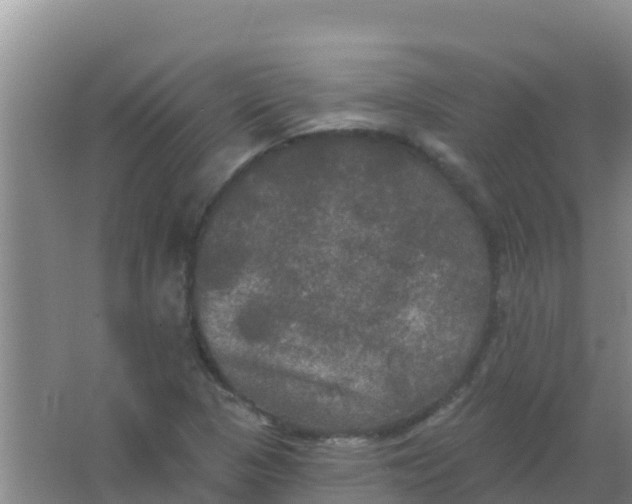 X0000066931313200604071836