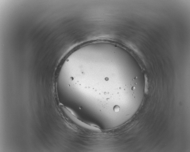 X0000066931316200604071836