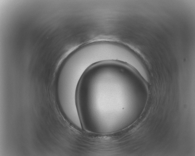 X0000066931317200604071836