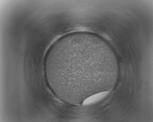 X0000066931318200604071836