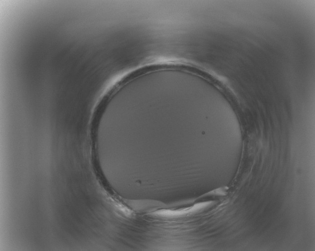 X0000066931319200604071836