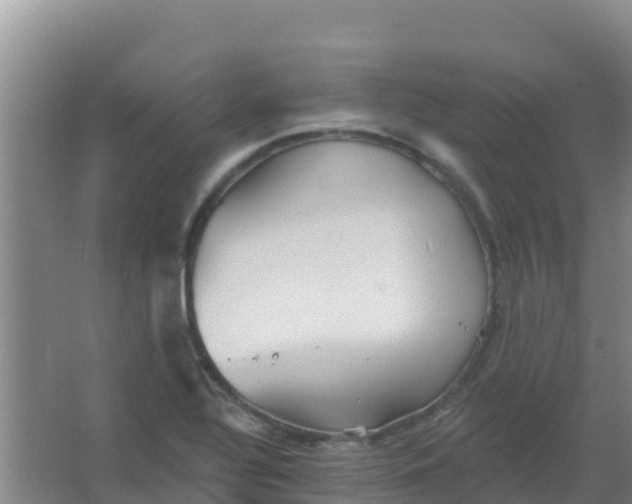 X0000066931320200604071836