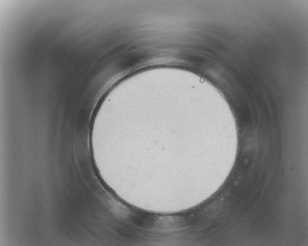 X0000066931322200604071836