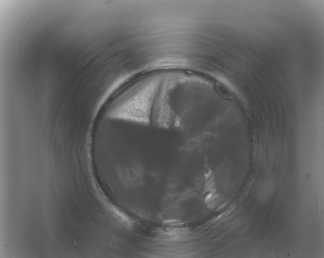 X0000066931325200604071836