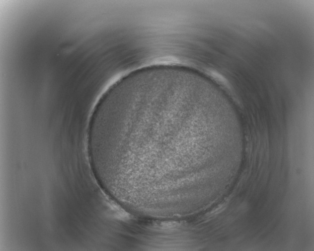 X0000066931326200604071836