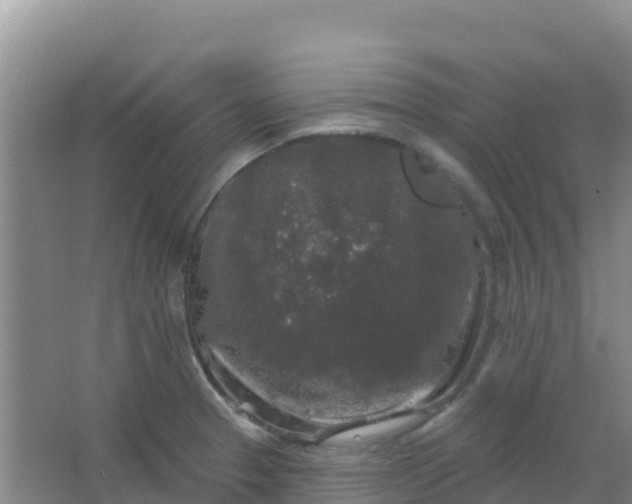 X0000066931329200604071836