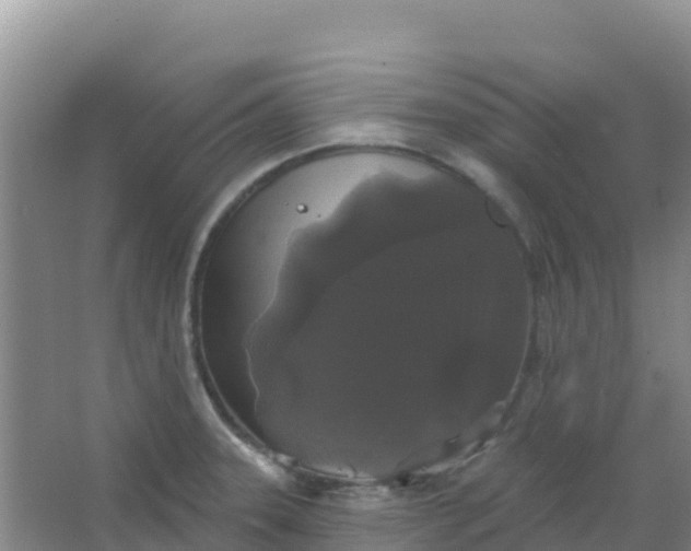 X0000066931331200604071836