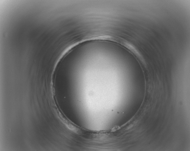 X0000066931332200604071836