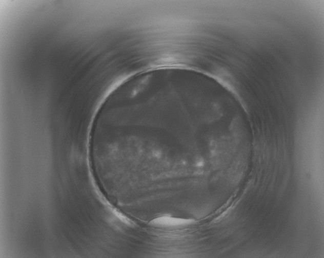 X0000066931333200604071836