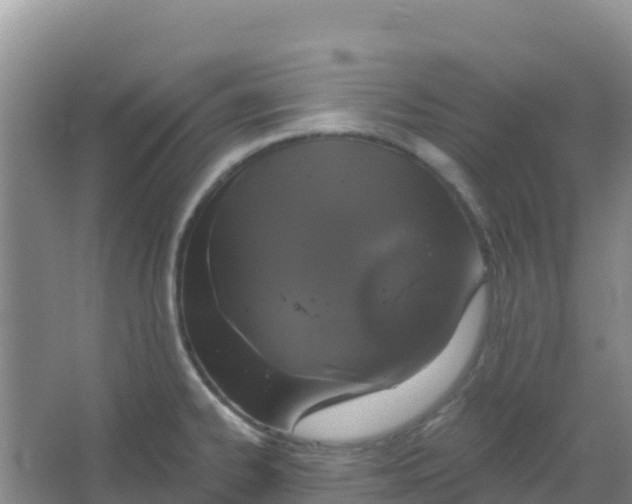 X0000066931334200604071836