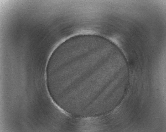 X0000066931335200604071836