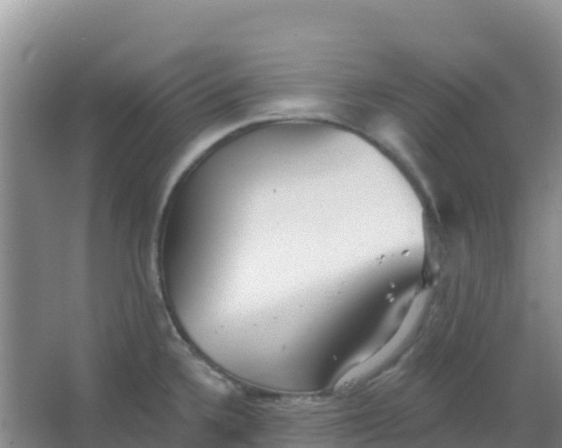 X0000066931336200604071836