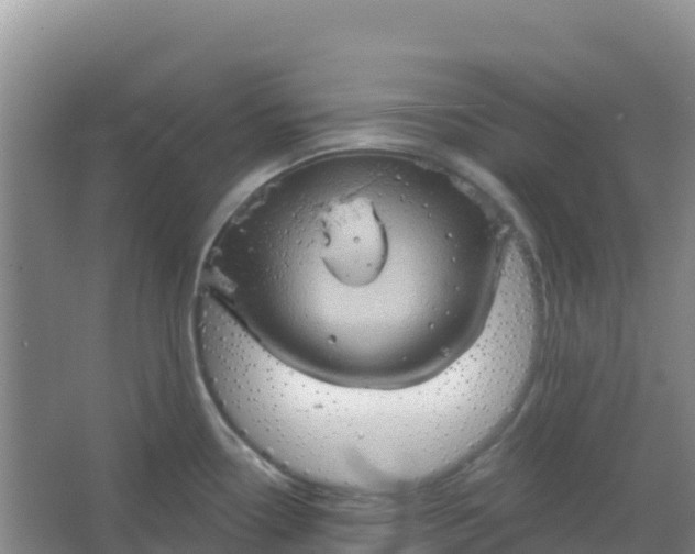 X0000066931338200604071836