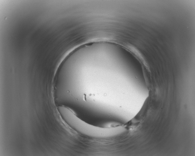 X0000066931340200604071836