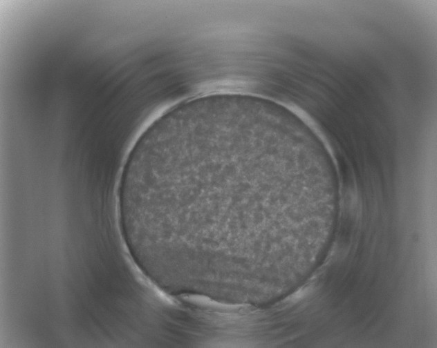 X0000066931341200604071836