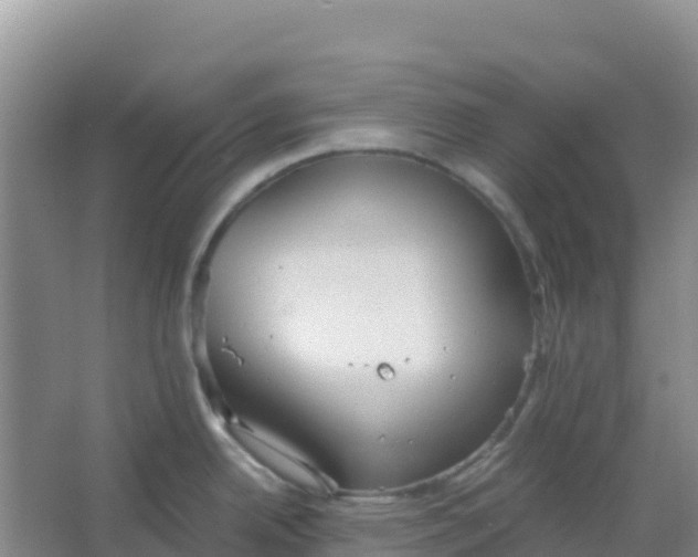 X0000066931342200604071836