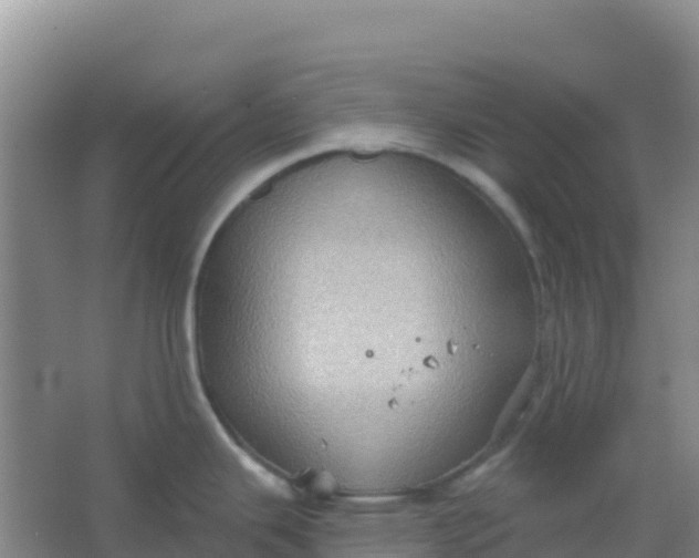 X0000066931343200604071836