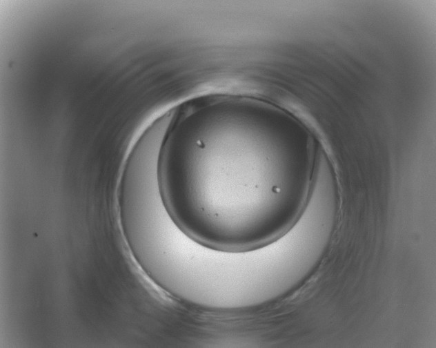 X0000066931344200604071836