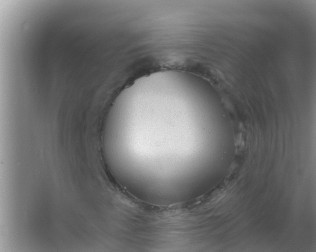 X0000066931345200604071836