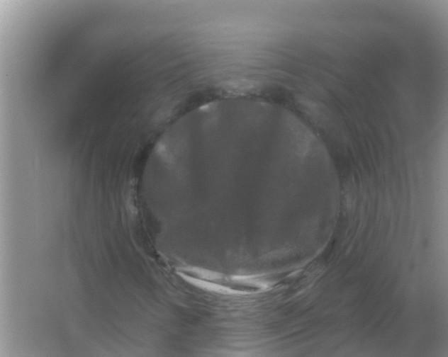 X0000066931346200604071836