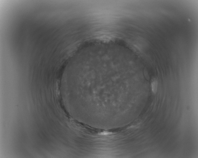 X0000066931347200604071836