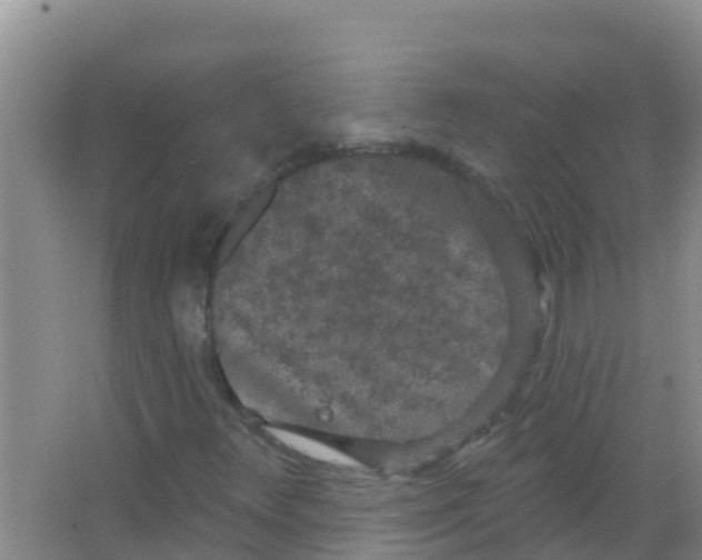 X0000066931348200604071836