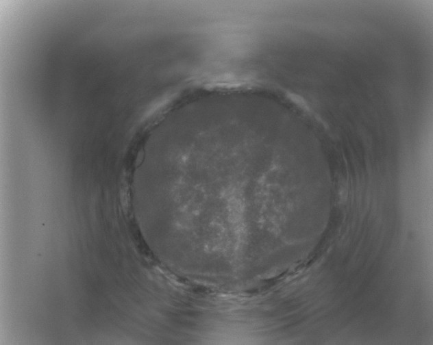 X0000066931350200604071835