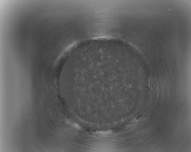 X0000066931351200604071835