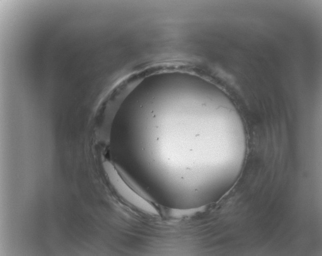 X0000066931352200604071835