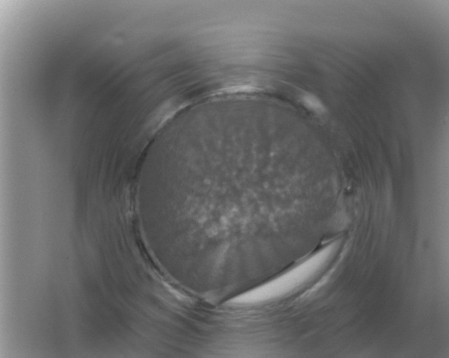 X0000066931353200604071835