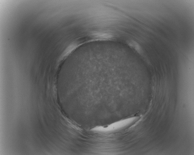 X0000066931354200604071835