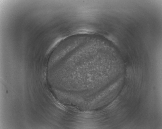 X0000066931355200604071835