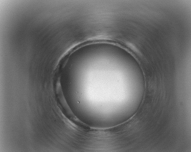 X0000066931356200604071835