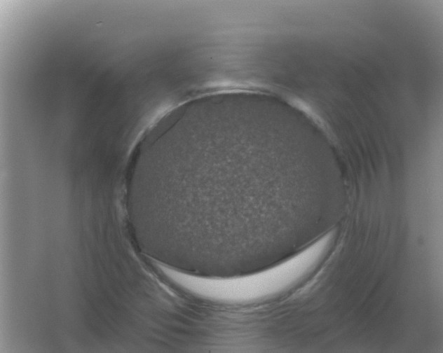 X0000066931357200604071835