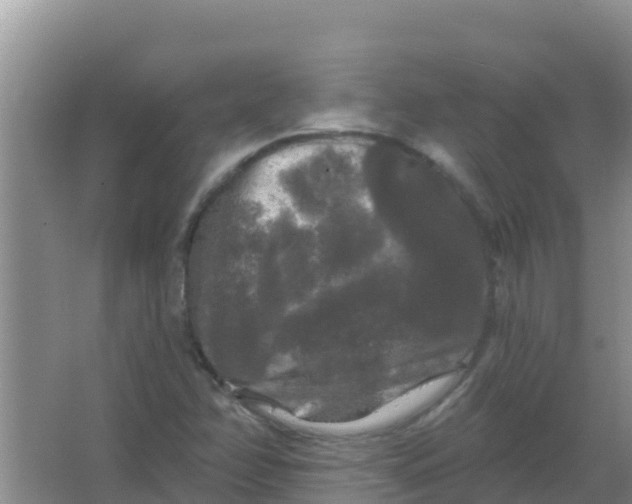 X0000066931358200604071835