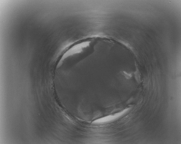 X0000066931359200604071835