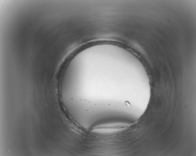 X0000066931360200604071835