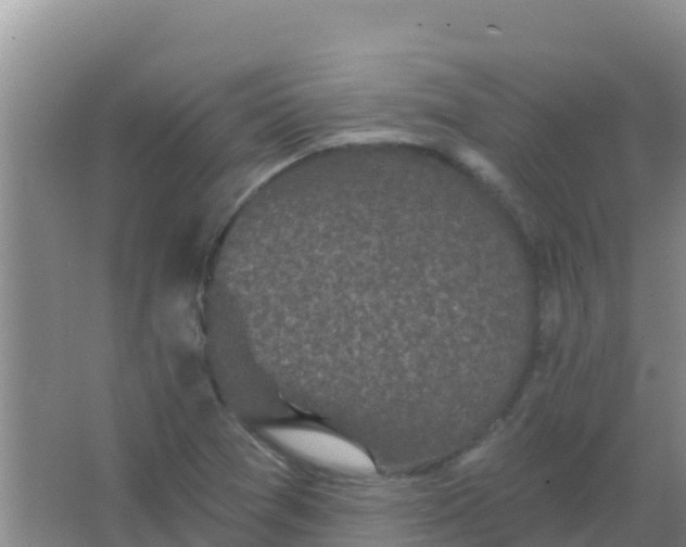 X0000066931361200604071835