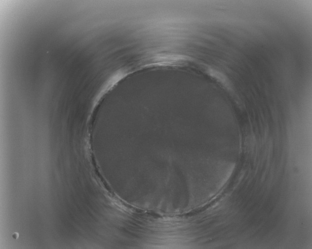 X0000066931362200604071835