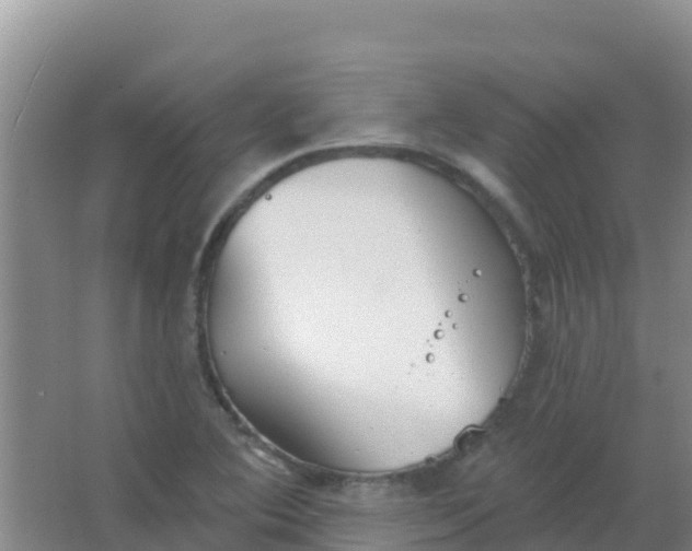 X0000066931364200604071835