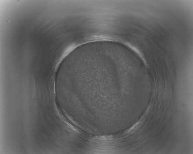 X0000066931365200604071835