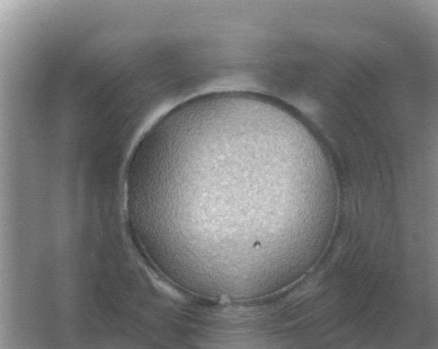 X0000066931366200604071835