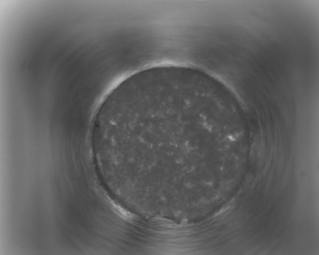 X0000066931367200604071835