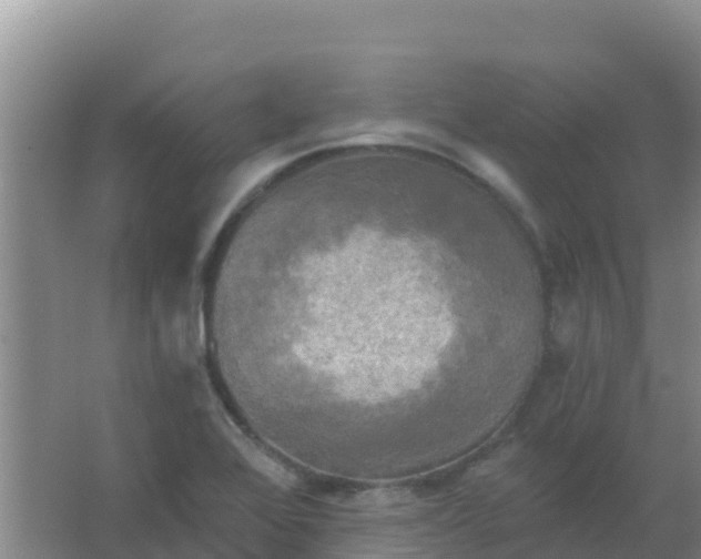 X0000066931368200604071835