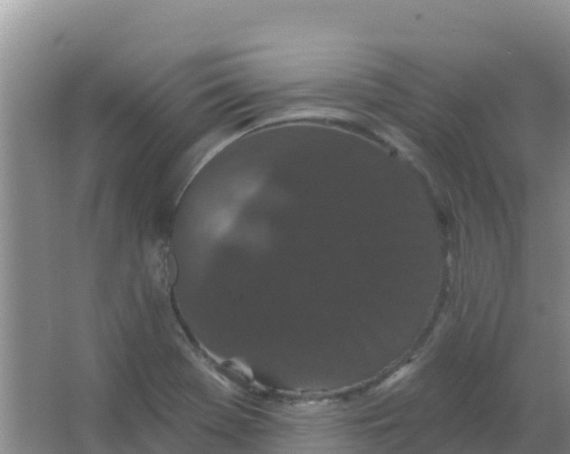 X0000066931369200604071835