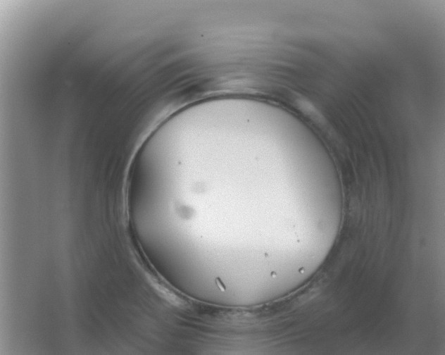 X0000066931370200604071835