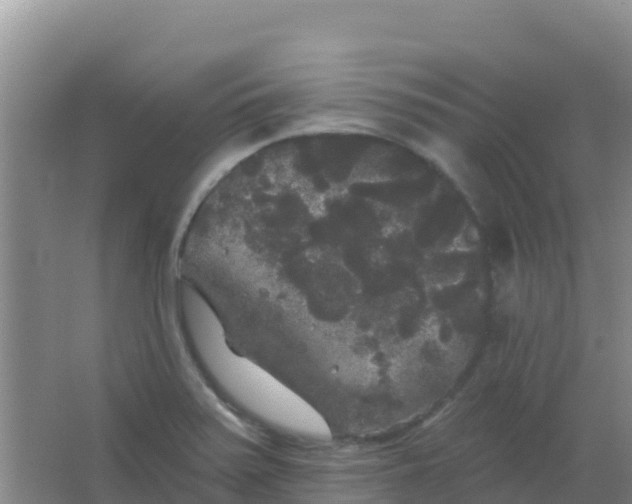 X0000066931371200604071835