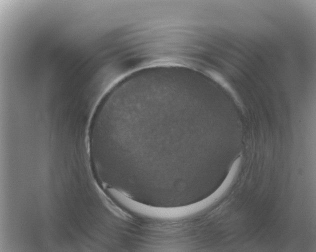 X0000066931372200604071835