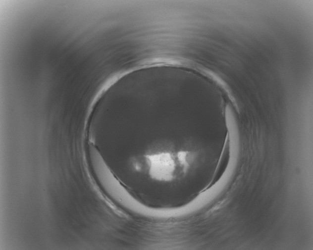 X0000066931373200604071835