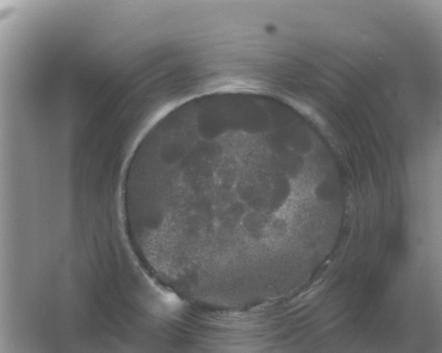 X0000066931375200604071835